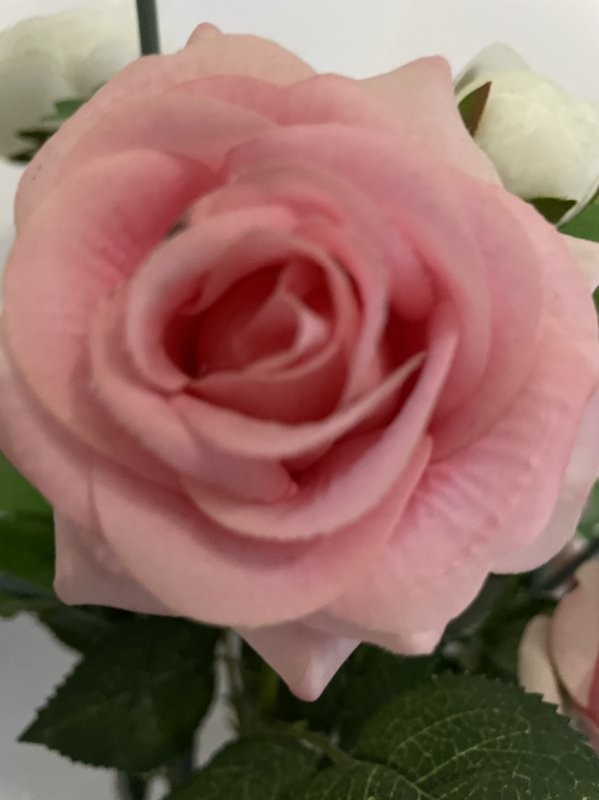 快手买的东西快递单号丢了找不到信息怎么办？